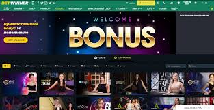 Everything You Need to Know About BetWinner Everything You Need to Know About BetWinner