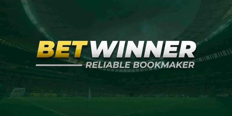Everything You Need to Know About BetWinner Brazil 909170036