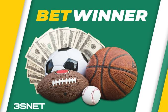 Understanding the BetWinner Login Process A Comprehensive Guide 1540384865
